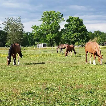 Charming Comfortable Barn Casa de Férias *