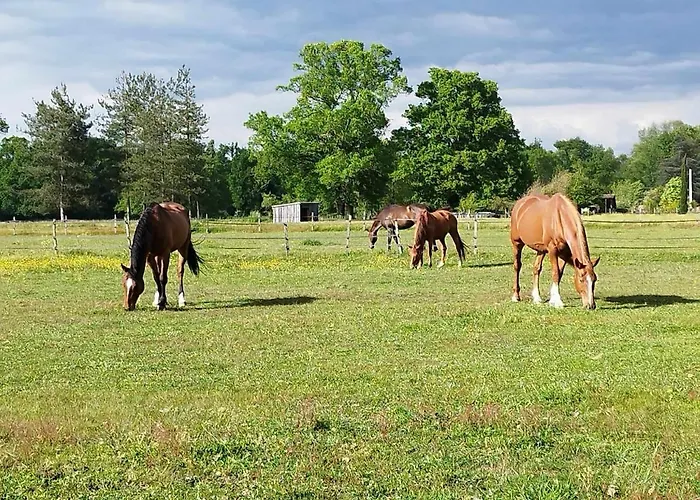 Charming Comfortable Barn Ferienhaus *